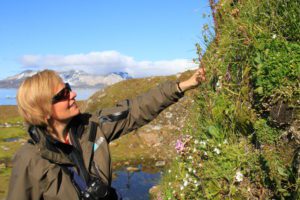 Experts will study every aspect of the two sites, including the local flora. Depicted here is Dagmar Hagen, Senior Research Scientist at the Norwegian Institute for Nature Research, on a previous site inspection. (Photo: Ole Magnus Rapp).